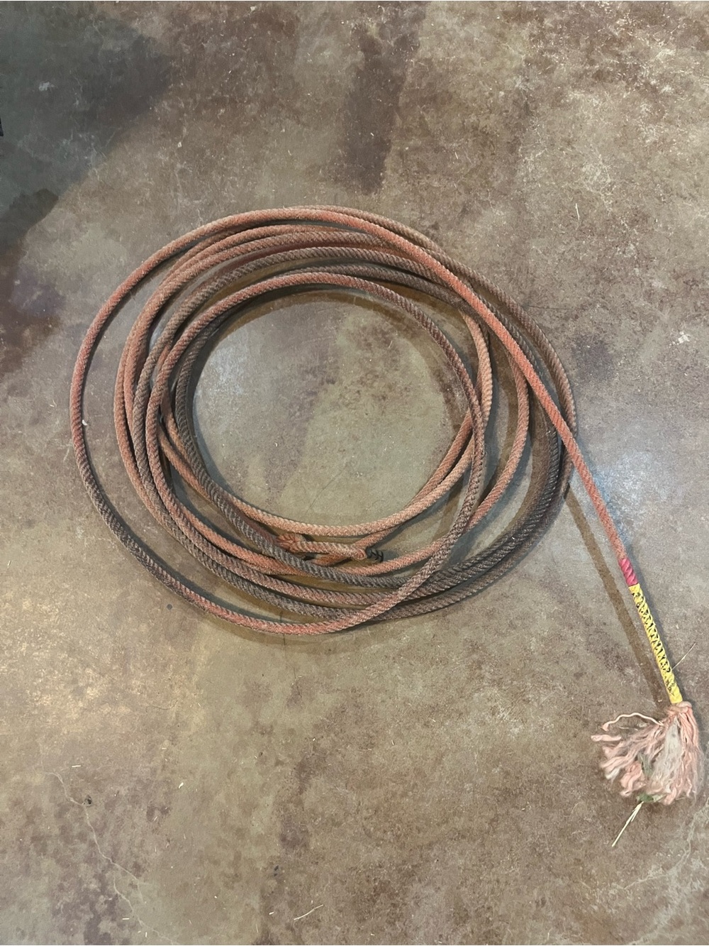 Team rope/lariat